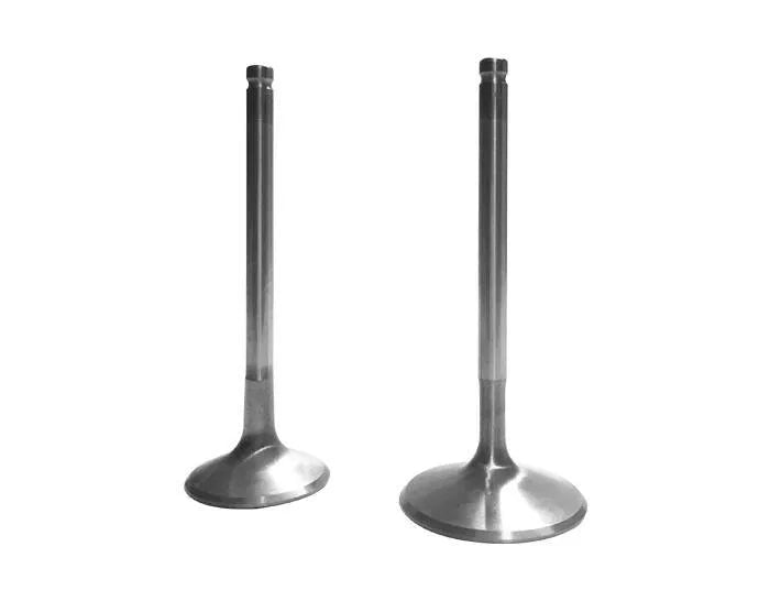 Sea-Doo Performance Valve Set